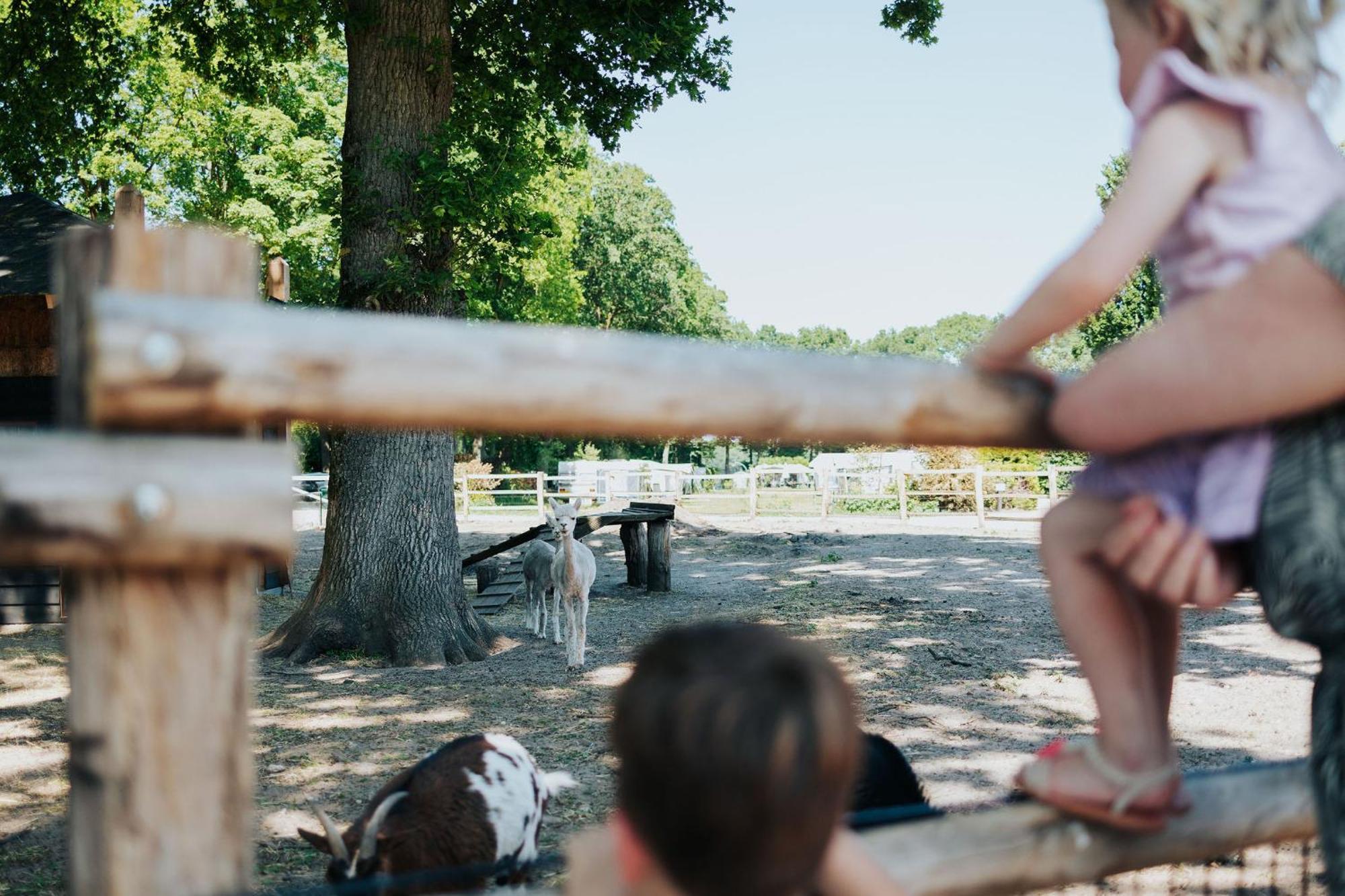 Sfeervolle Blokhut Met Fijne Buitenruimte @ Veluwe Epe Zewnętrze zdjęcie
