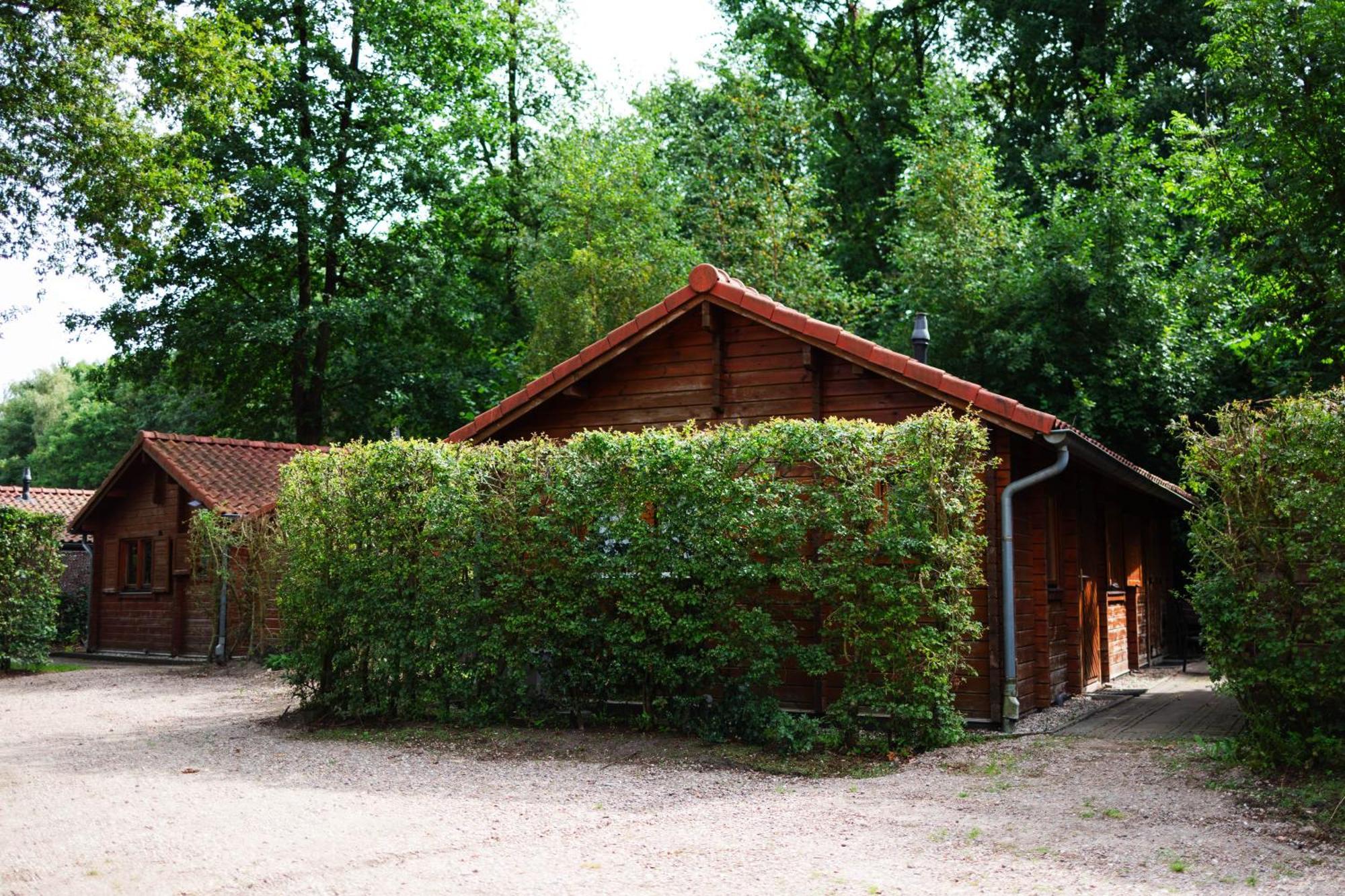 Sfeervolle Blokhut Met Fijne Buitenruimte @ Veluwe Epe Zewnętrze zdjęcie